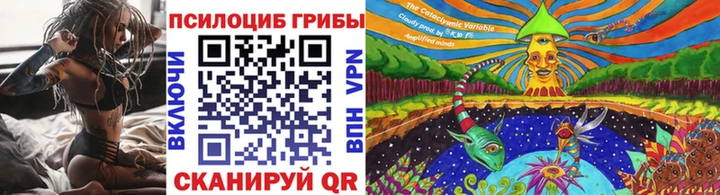 Псилоцибиновые грибы Psilocybe  Купить где  Лебедянь 